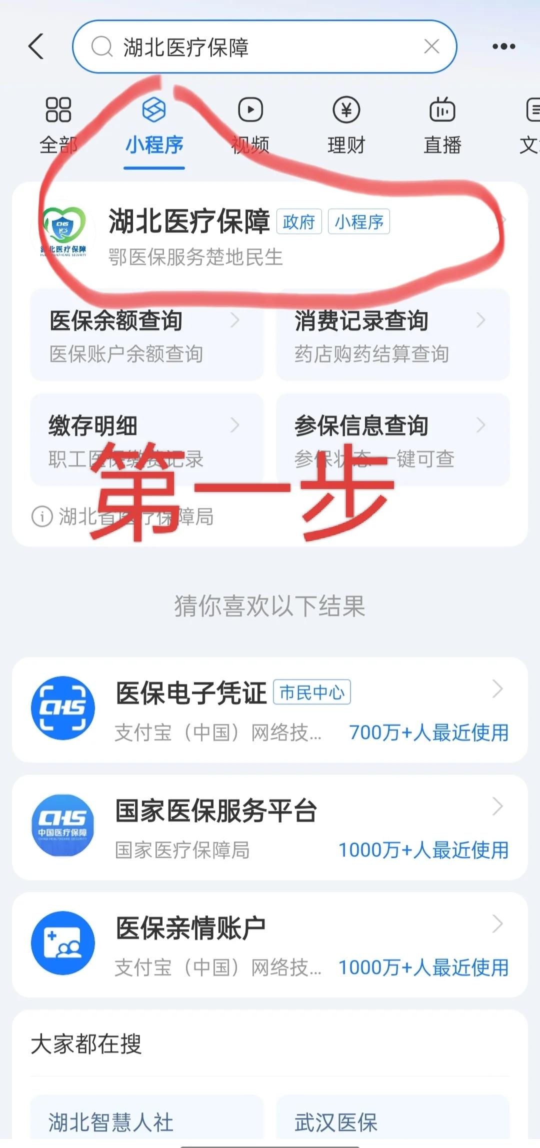张家口医保网上怎么缴费(孩子居民医保网上怎么缴费)