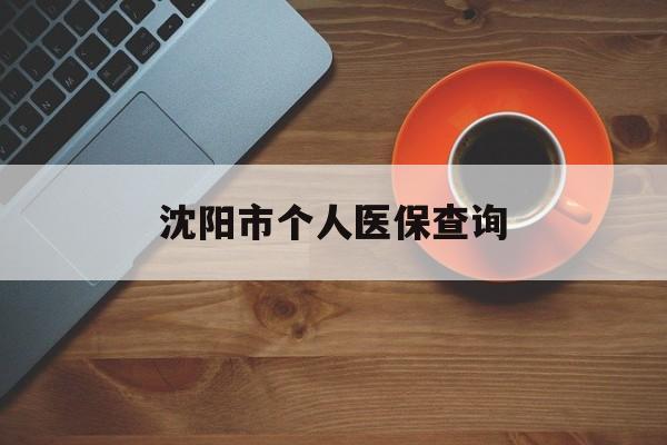 张家口沈阳市个人医保查询(沈阳市个人医保查询个人账户)